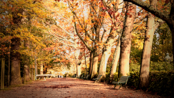TRAJETS EN BRETAGNE AVEC TER visual data 4